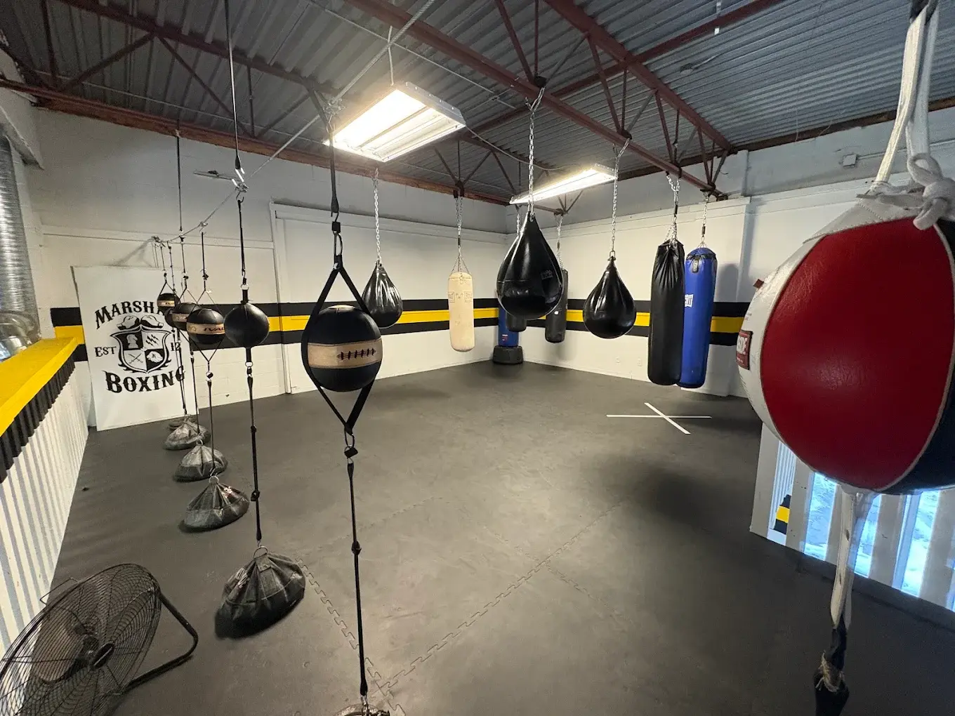 Punching bags in the upstairs Marshall Boxing training area